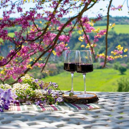 I Sicomori - Seme Di Carota - Glamping E Appartamenti Con Piscina A Saturnia Exterior photo