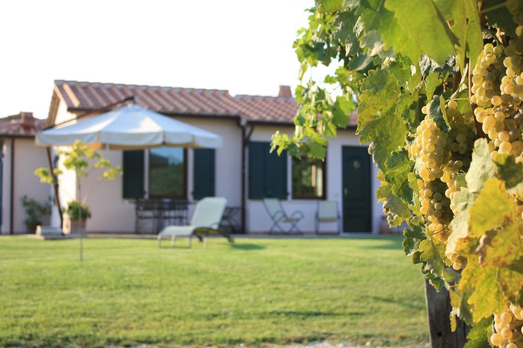 I Sicomori - Seme Di Carota - Glamping E Appartamenti Con Piscina A Saturnia Exterior photo
